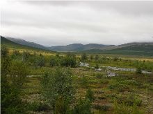 Плутонизм побеждает