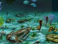 Господство морского режима
