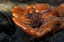 Перспективы нефтегазоносностн осадочных бассейнов